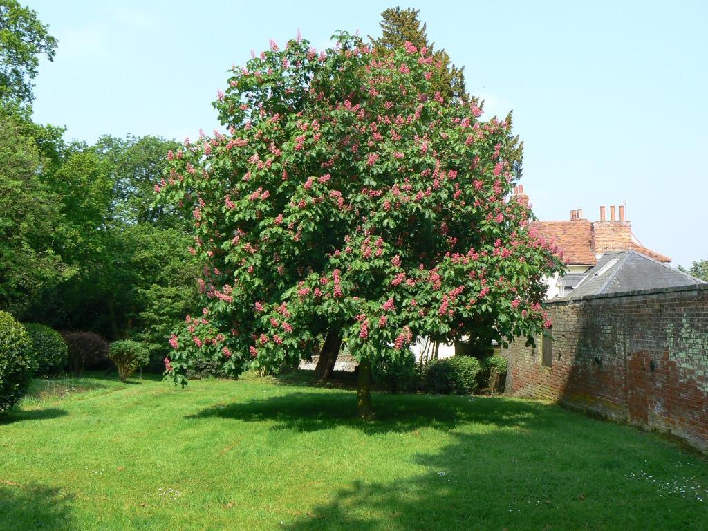 Holbecks House B&B Ipswich Buitenkant foto